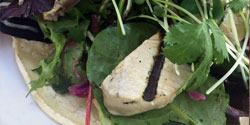 Salad With Chicken