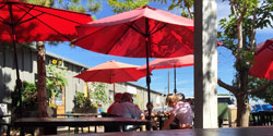 Patio Umbrellas